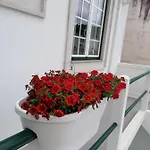 罗西奥阿尔科巴萨旅馆 旅馆 阿尔科巴萨