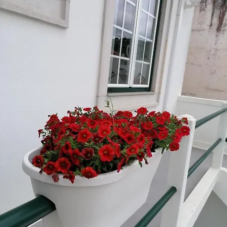 Rossio אכסניה אלקובאקה