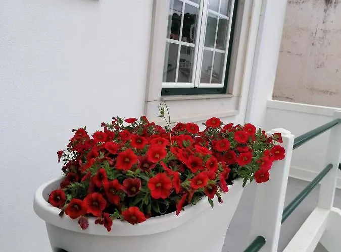 Rossio Хостел Алкобаса